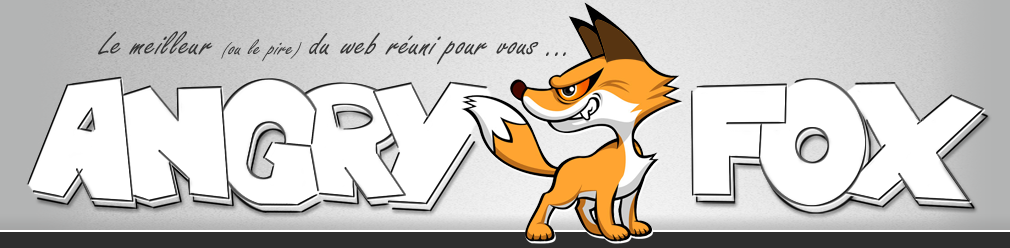 Angry Fox